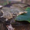 Dokra Toy Lucky Tortoise