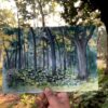 Lodhasuli Forest Painting